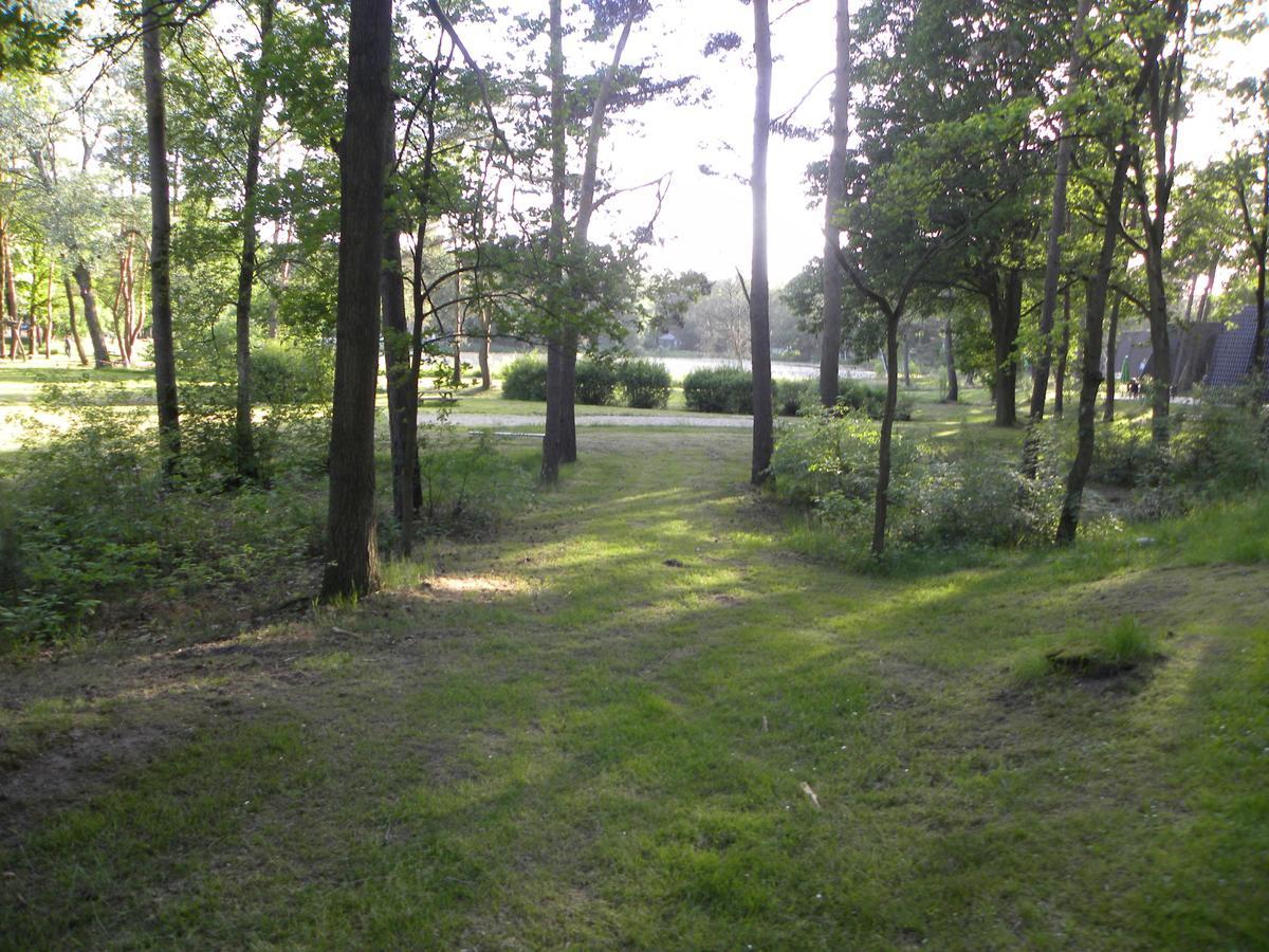 Comfortabele Vrijstaande Bungalow 3 Stramproy Exterior foto
